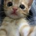 Fabian Scott - Facebook