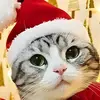 Fabiano Wallace - @fabiano.wallace - TikTok