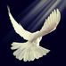 Fabian Willis - Facebook