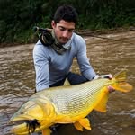 Fabien Forget - @fabien_35 - Instagram