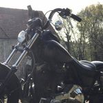 Fabien Moreau - @babyroussa_redneck - Instagram