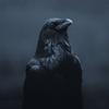 Fabien Moreau - @fabienmoreau0 - TikTok