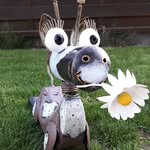 Fabien Roy - @fabienroy11 - Instagram