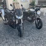 Fabien Roy - @fabienroy84 - Instagram