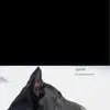 Fabien Roy - @fabien.roy1 - TikTok