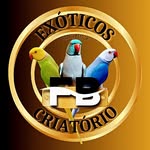 Fabio Bernardo - @fabio.bernardo70 - Instagram