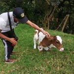 Fabio Sierra - @fabio.cuartas.7982 - Instagram