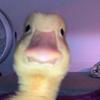 Fabio Cuevas - @fabiocuevas3 - TikTok