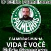 Fabiogoncalvesmatos - @fabiopalmeiras42 - TikTok