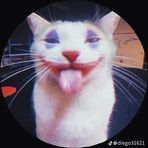 Fabio Herrera - Facebook