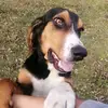 fabioherrera8458 - @fabio_herrera - TikTok