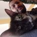 Fabio Lamberti - Facebook