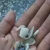 Fabio Macias - @fabio.macias6 - TikTok