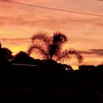 Fábio Mayer Ribas - @fabio_mayer__ - Instagram