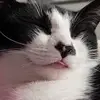 Fabio Mendonca - @fabiomendonca738 - TikTok