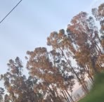 Fabio Mesa - Facebook