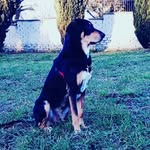 fabio m - @fabiomorgantini23 - Instagram