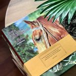 Fabio Ochoa - @mividaenelmundodeloscaballos - Instagram