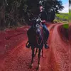 . - @fabio_ortiz - TikTok