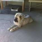Fabio Pace - @fabio.pace.3781 - Instagram