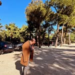 Fabio Pace - @pace_fabio - Instagram