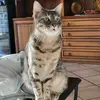 fabiopace - @fabiopace67 - TikTok