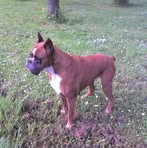 Fabio Paoletti - Facebook