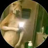 fabio y sano - @fabiosouthpark - TikTok