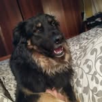 fabio parodi - @_fabio_parodi - Instagram