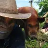 Fabio Parodi - @fabio.parodi3 - TikTok