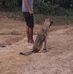 Fabio Ribeiro - Facebook