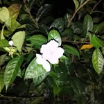 Fabio vaca - @fabiovaca357 - Instagram