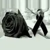 Fabiola Avila627 Uc r a chic.c - @fabiolaavila627 - TikTok