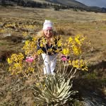 Rosa Fabiola Botello Navas - @rosafabiola68 - Instagram