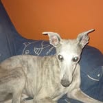Fabiola Jaque - @fabiola.jaque.940 - Instagram