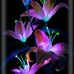Fabiola Rocha - Facebook