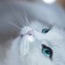 Fabiola Stevenson - Facebook