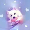 fabiolazeasreyes - @fabiolazeasreyes - TikTok