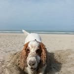 Fabrice Weber - @webfab57 - Instagram