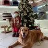 Fabricio Rocha - @fabricio.rocha83 - TikTok