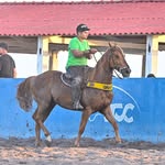 Fabricio Silva - @fabricio.rocha___ - Instagram