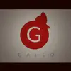 Fabrizio Gallo - @fossigallo - TikTok