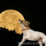 Fabrizio German Duarte Conteiro - Facebook