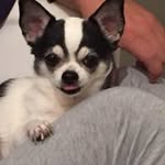 Fabrizio Germani - @germani.fabrizio - Instagram
