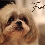Fabrizio Mancini - @fabrizio4937 - Instagram