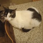 Fabrizio Molinari - @molinari4655 - Instagram