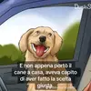 fabrizio neri - @nerifabri - TikTok