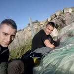Fabrizio Parini - @parinifabrizio - Instagram