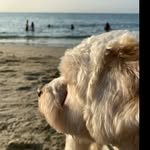 Fabrizio Esteban Quezada - @fabrizioestebanquezada - Instagram