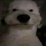 Fabrizio Rodriguez - @fabrizio._.rodriguezxd - Instagram